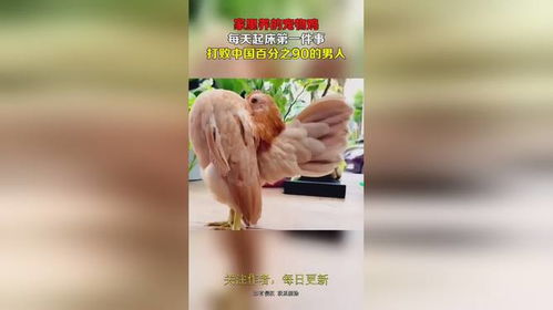 猫妈妈为保护幼崽误伤游客,景区贴告示霸气护猫