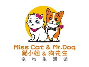 大气上档次的宠物猫名字,猫奴们快来挑一个吧