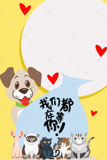 宠物美容卡通童趣banner