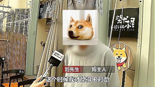 导盲犬上公交却被她羞辱说