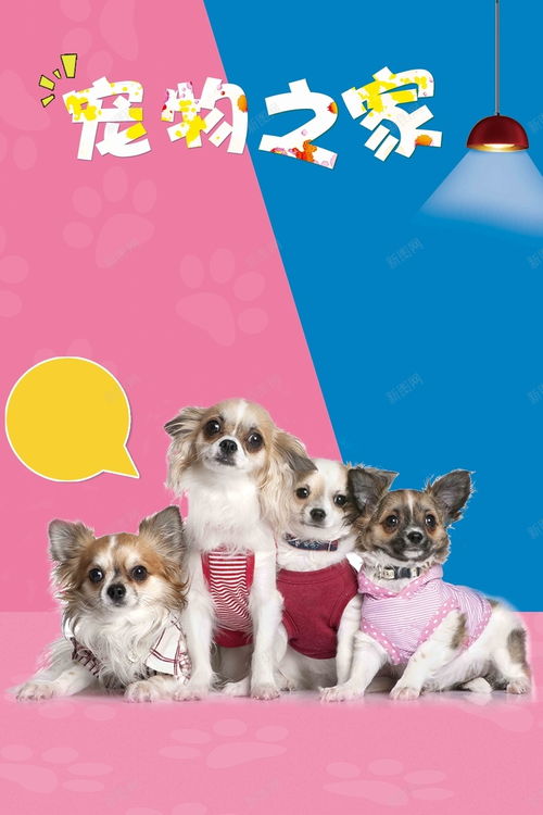 彩铅手绘4款玩耍的狗免费下载
