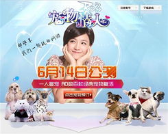 高品质俊介犬纯种博宝宝长不大狗狗