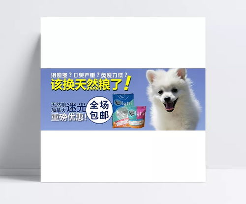宠物之家宣传海报图片设计素材