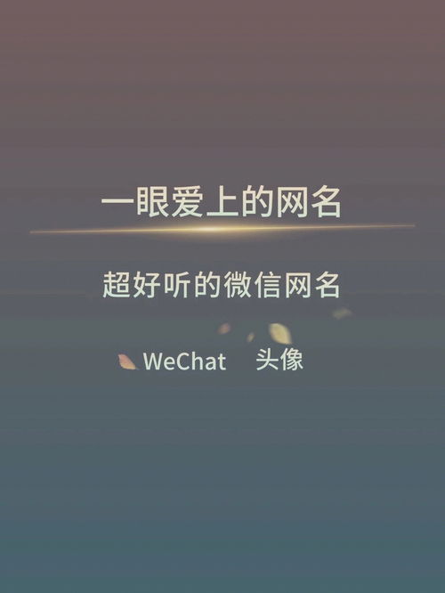 怎么让狗狗去散步时不乱吃东西