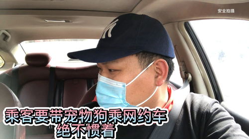 白羊女最容易被哪种男人蛊惑