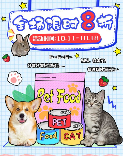 卡通动物宠物猫咪海报设计png免扣素材