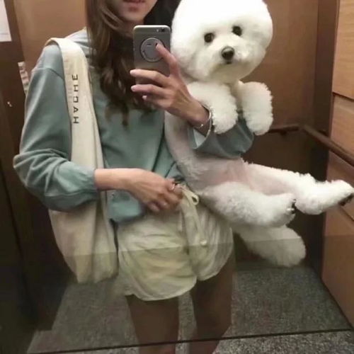 周海媚携爱犬拍写真变天真少女