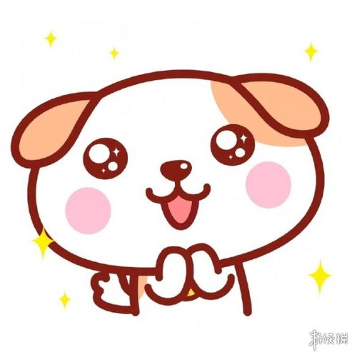 【韩国纯种茶杯体泰迪犬宠物狗活体玩具体泰迪的图片】-绵阳