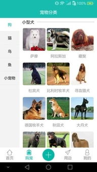 宠物狗的各种种类介绍