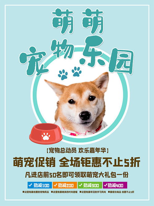 小型犬品种大全