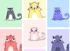 世界上最聪明的10种猫咪
