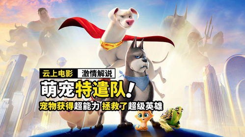 中国宠物文化节首秀,现实版疯狂动物城