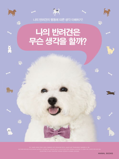 时尚手绘萌宠店促销宠物用品创意海报背景图片免费下载