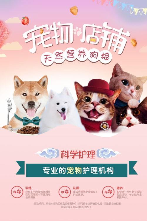 宠物猫狗png素材透明免抠图片