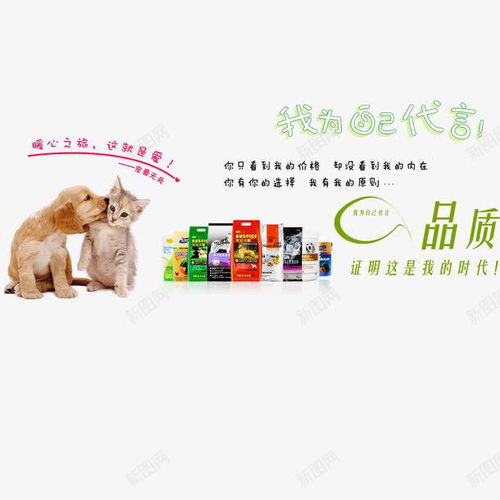 简约现代宠物用品商店宣传海报psd模板图片设计素材