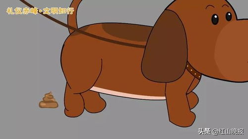 秋季卡通宠物狗狗