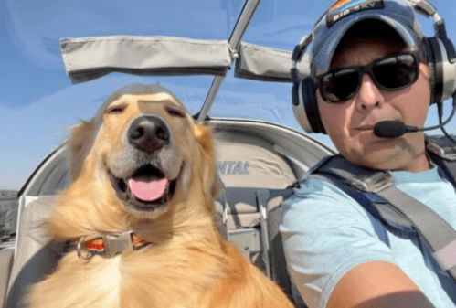 坐飞机可以带宠物狗吗