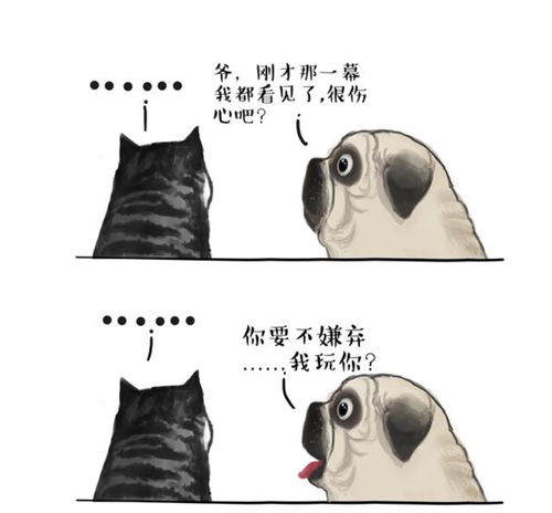 熊猫体育官方版app