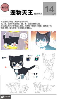 小猫也发烧