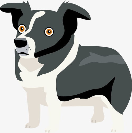 手绘可爱卡通柴犬宠物系列元素图片大小1024x1369px