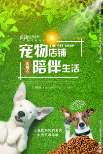 除了中华田园犬,中国还有这11种狗狗