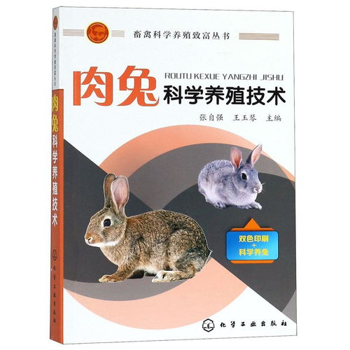 全球十大最温顺最亲近人的宠物猫排行榜,第一名你猜到了吗