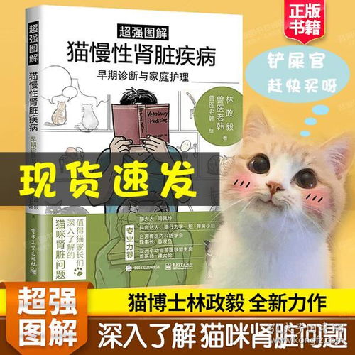 可爱卡通黑色猫咪造型宠物猫咪png免扣素材图片