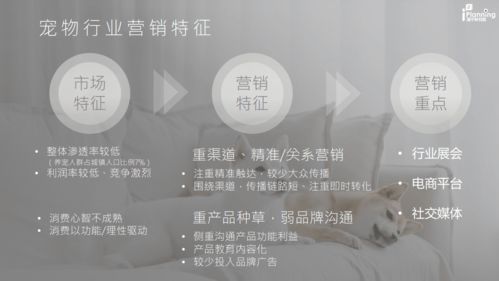 男子变成猫后,为了让家人认出自己,用积木拼出了名字