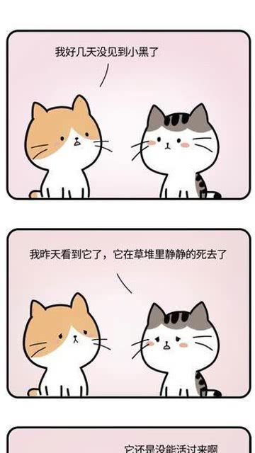 小娘惹