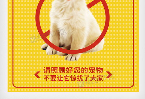 宠物猫咪身上有虫子好像是跳蚤,怎么办