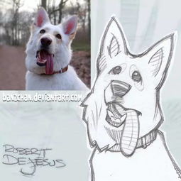 卡通手绘一只小狗萌宠设计图片大小2000x2000px