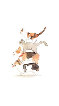 北欧现代可爱猫狗宠物床头画家居装饰画图片下载