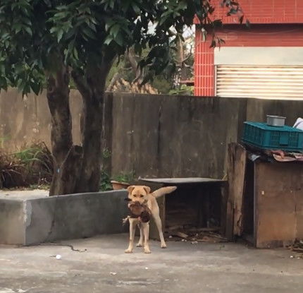 如何逼一个直男先开口表白