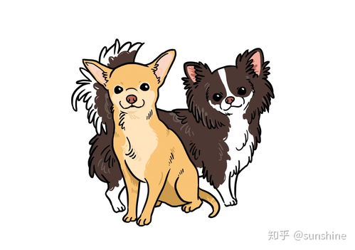 巴辛吉犬宠物图