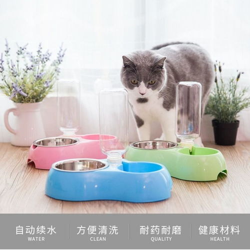 世界十大最受欢迎宠物猫品种