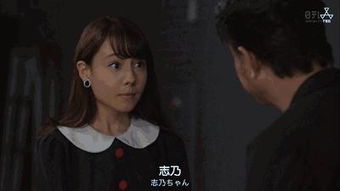 如何让汪星人学会坐下