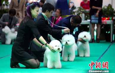 德语学习网站