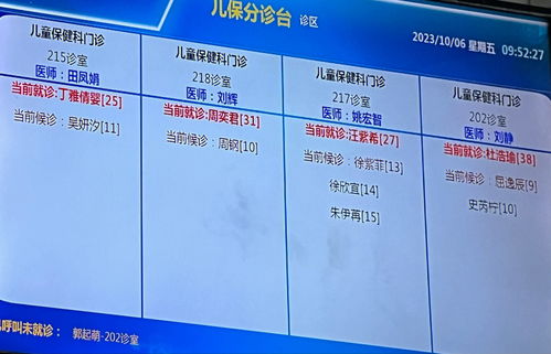 关于兔子不吃提草的问题解决方案