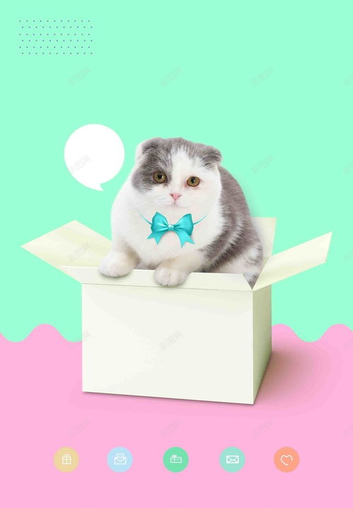 宠物店开业可爱卡通猫咪海报背景图片免费下载