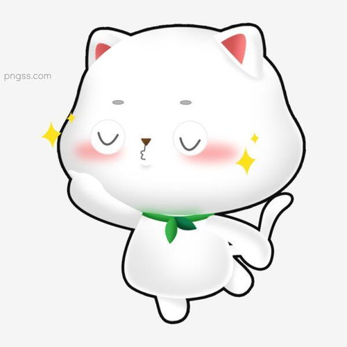 这只日本网红起司猫的表情真是独一无二的可爱