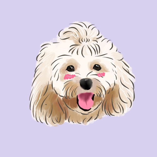 手绘卡通可爱泰迪宠物狗素材图片免费下载