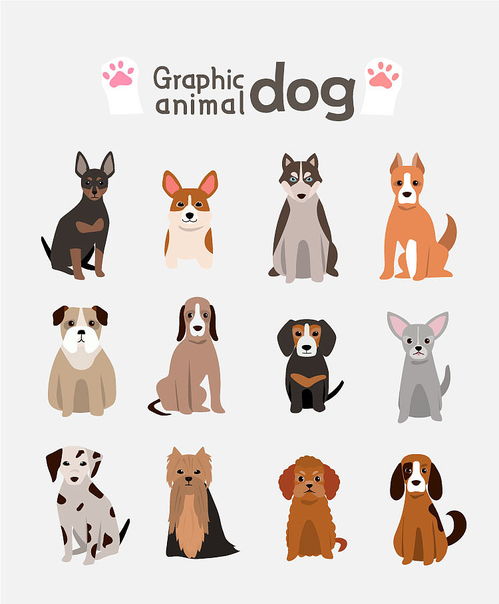 卡通简约可爱小狗宠物海报背景图片免费下载