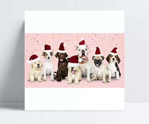 狗狗动物可爱手绘卡通宠物可商用元素图片大小2000x2000px