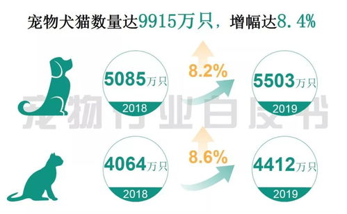 家用的各种化学清洁剂会对宠物猫咪狗狗的健康造成影响