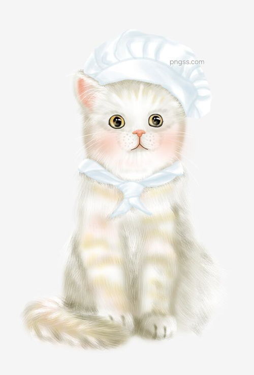 立冬时节怀抱温暖猫咪的可爱男孩子图片大小2000x2000px