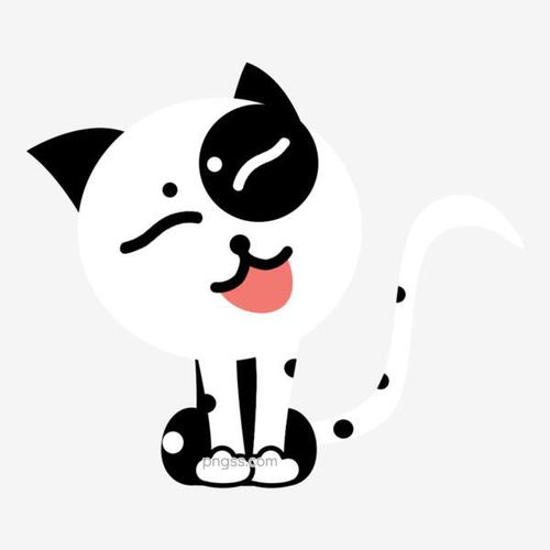 宫崎骏动画片里的龙猫真实存在,呆萌可爱还很聪明,要不要养