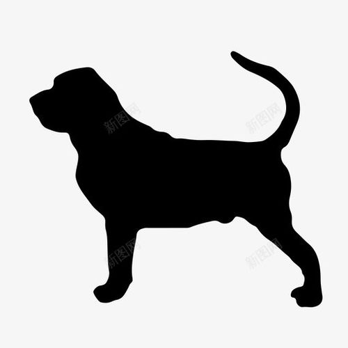 百色宠物狗犬舍出售纯种小短腿柯基犬网上卖狗买狗地方在哪有狗市场