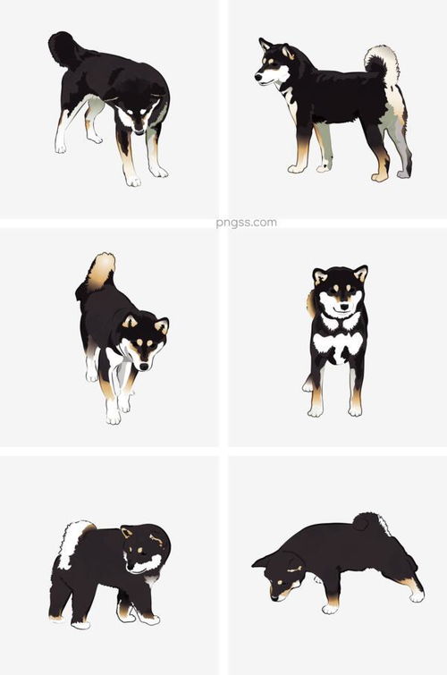 动漫图片,四个宠物的影子,分别是谁的宠物和哪部动漫的