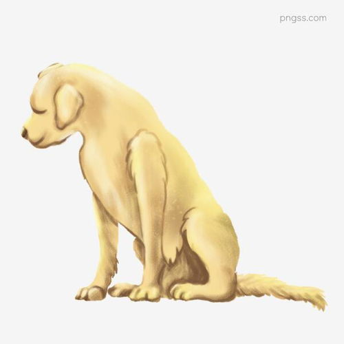 卡通手绘宠物狗透明素材