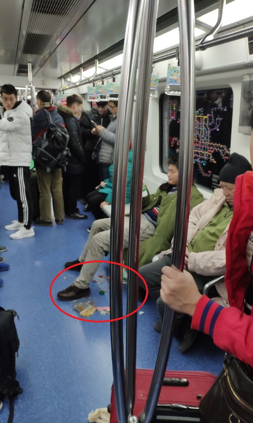 为了能带狗狗上地铁,你会把它们塞进包里吗